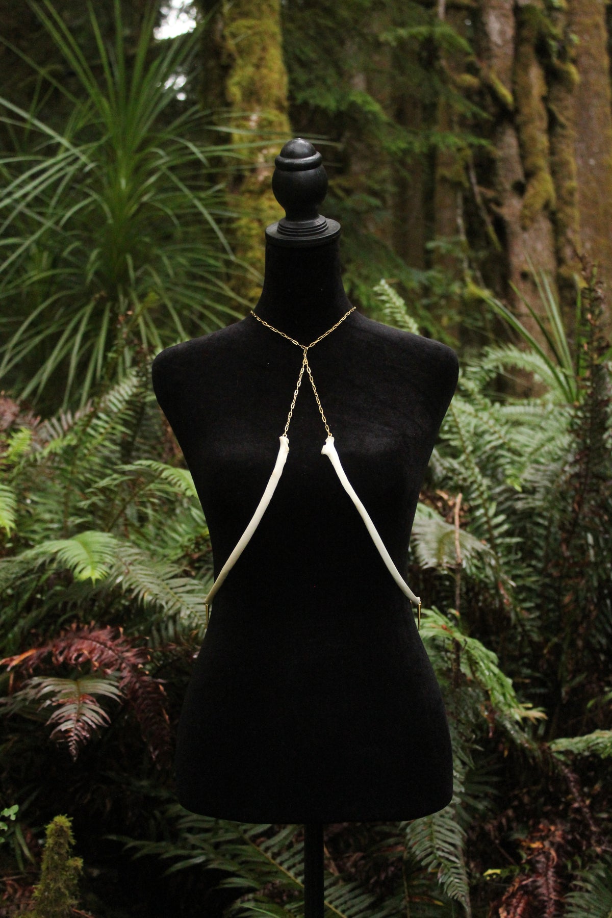 Deer Sternebrae & Rib Body Harness