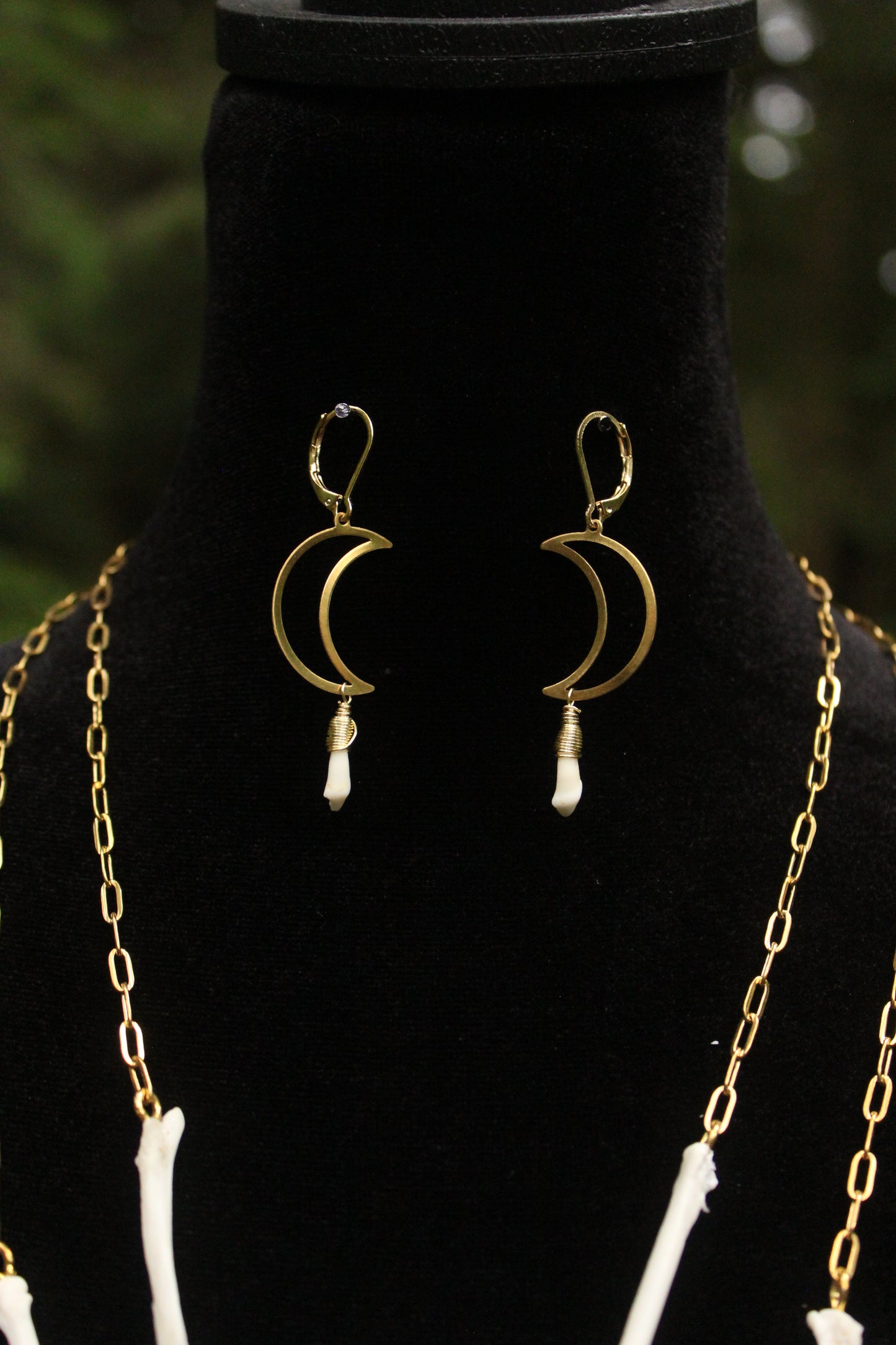 Raccoon Tooth Moon Earrings