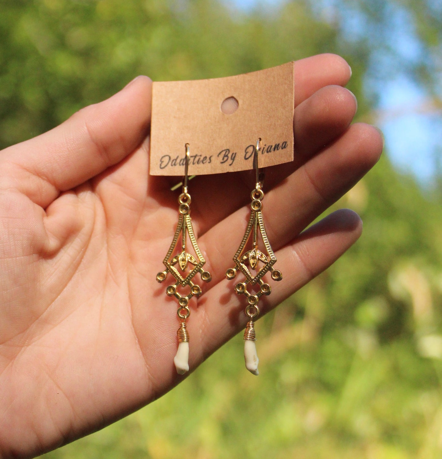 Ornate Coyote Tooth Earrings