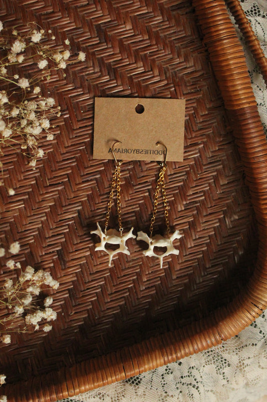 Feral cat Vertebrae Earrings