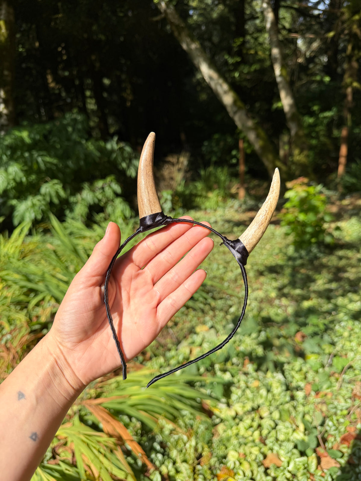 Elk Antler Horns