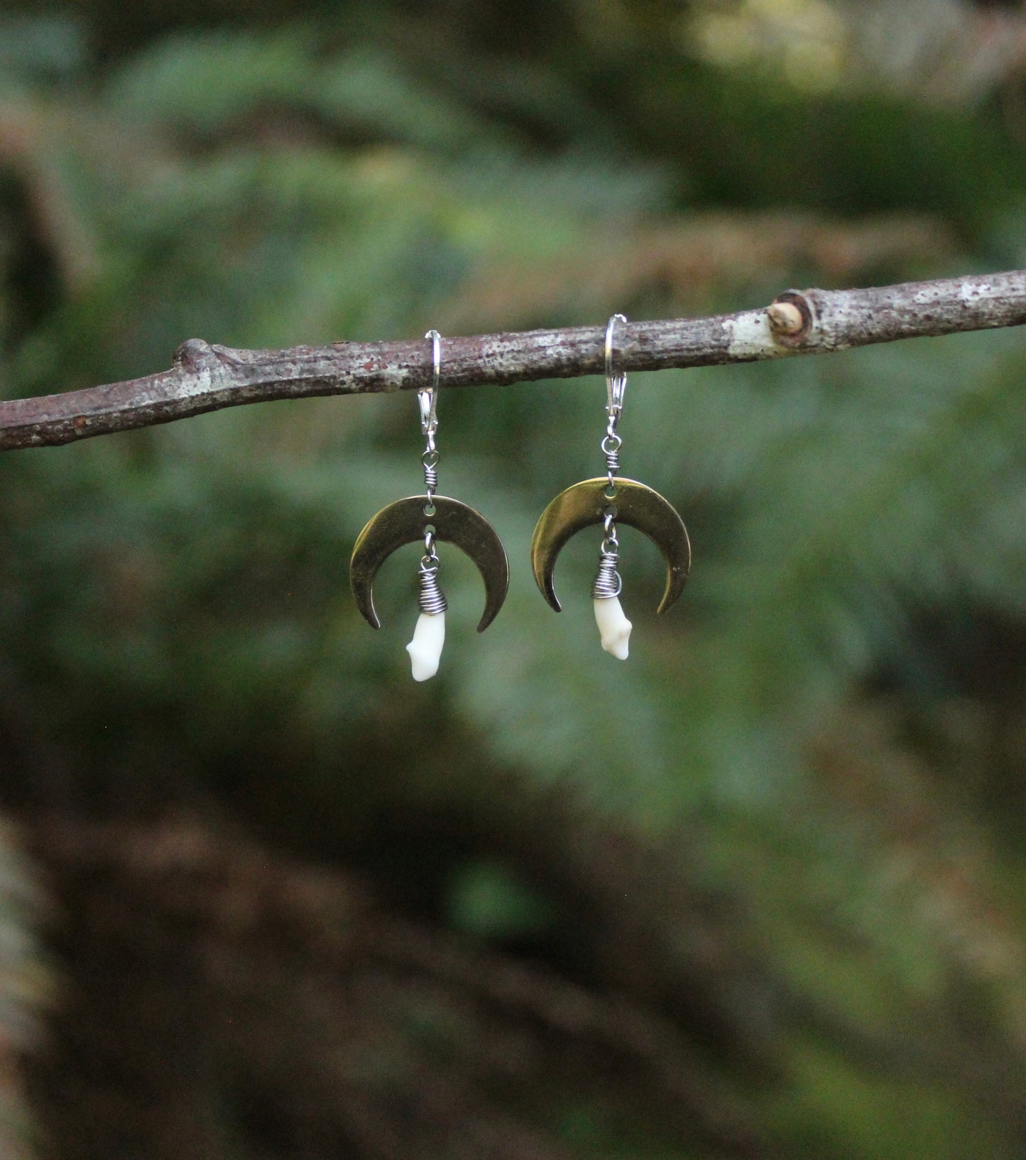 Silver Raccoon Moon Earrings