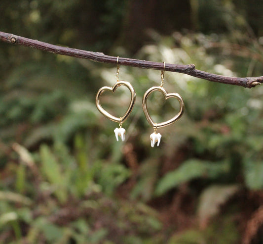 Raccoon Tooth Heart Earrings