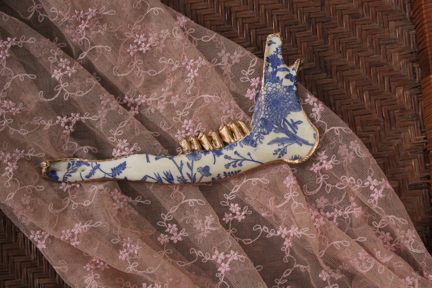 ‘Porcelain’ Deer Jaw Set