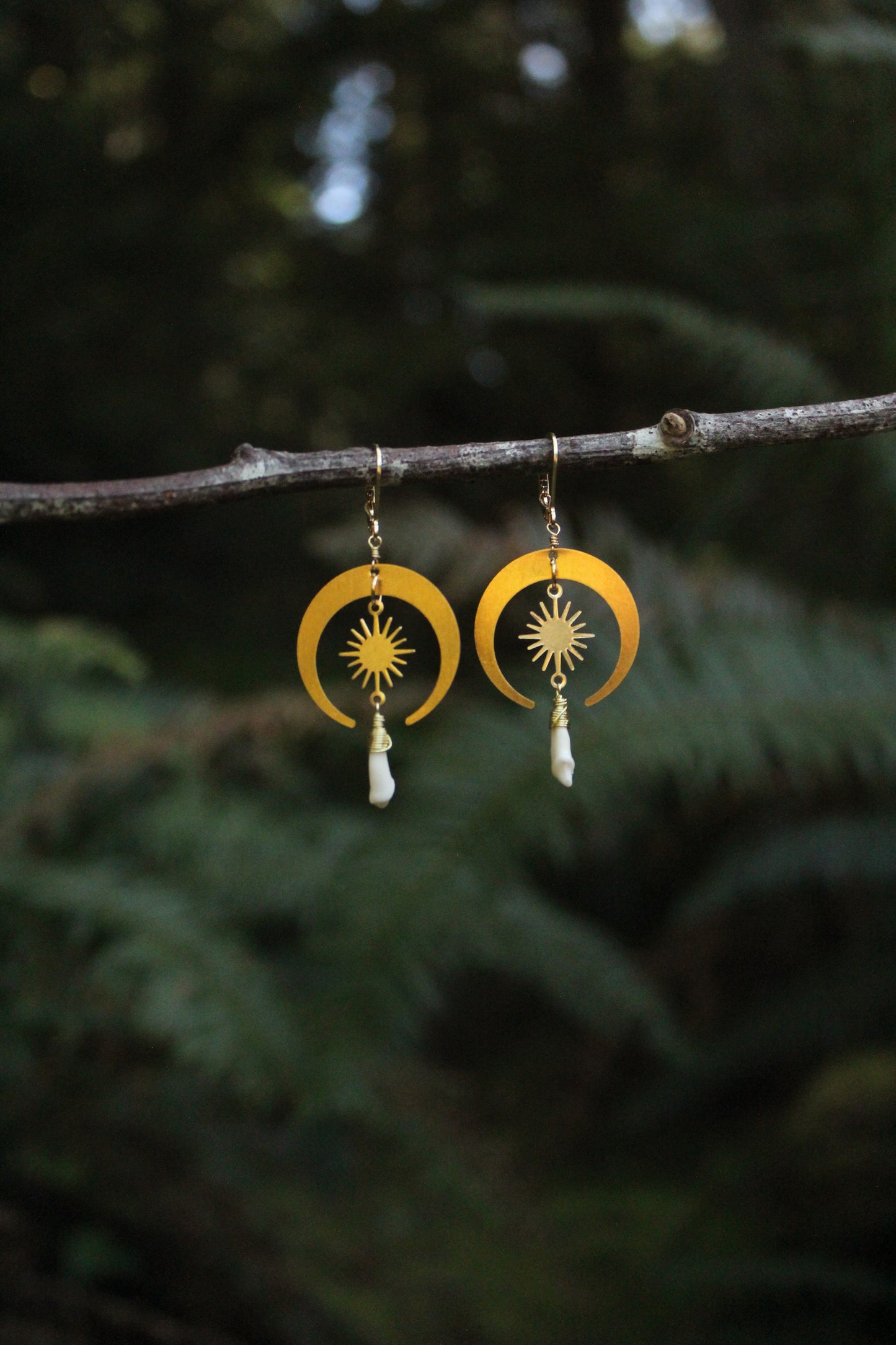 Celestial Coyote Incisor Earrings
