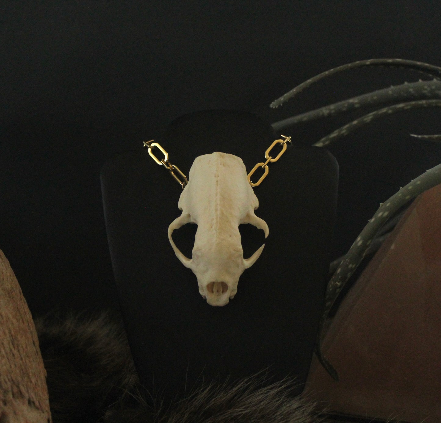 GF Skunk Skull Necklace / Cuff