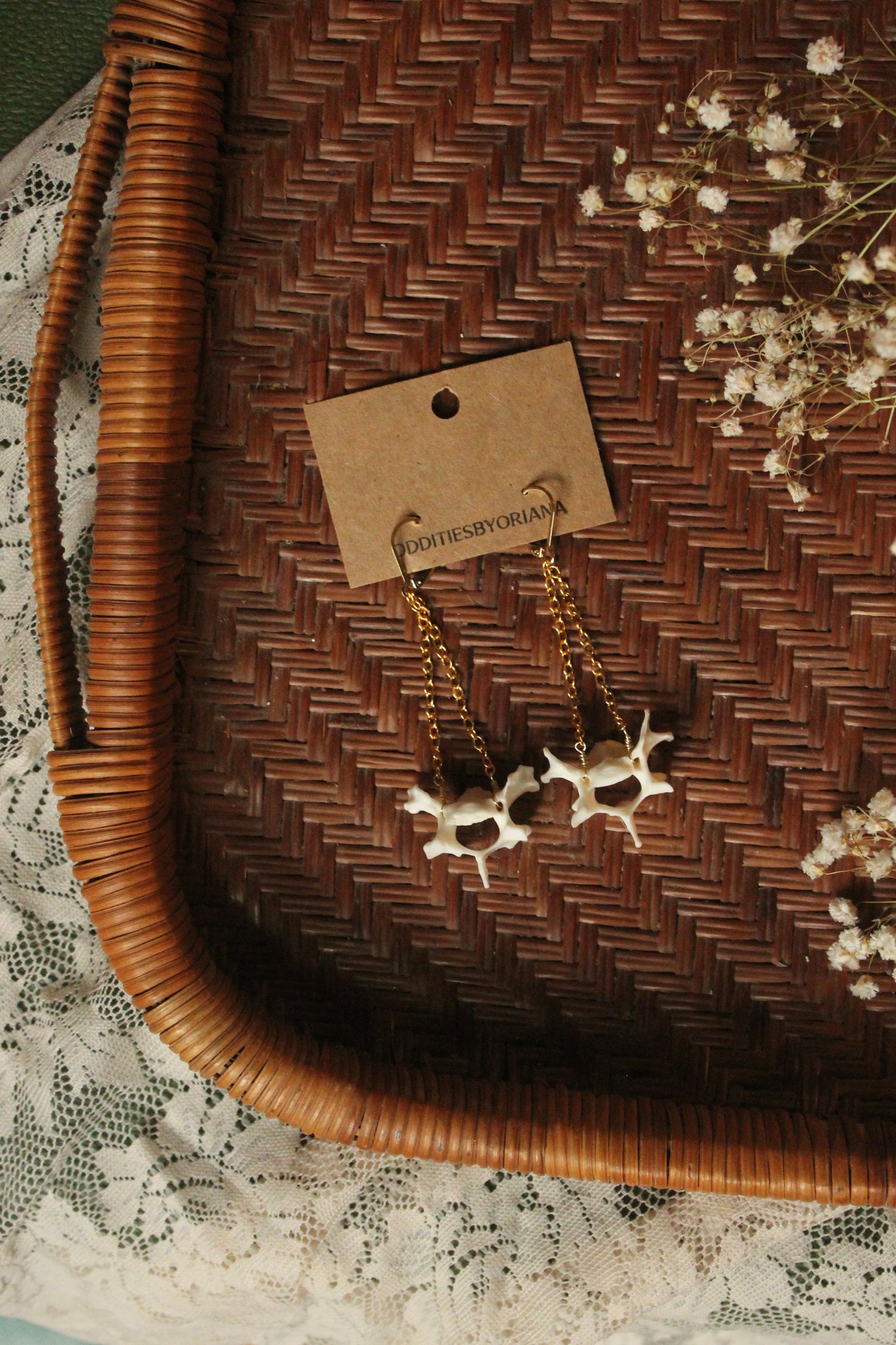 Feral cat Vertebrae Earrings