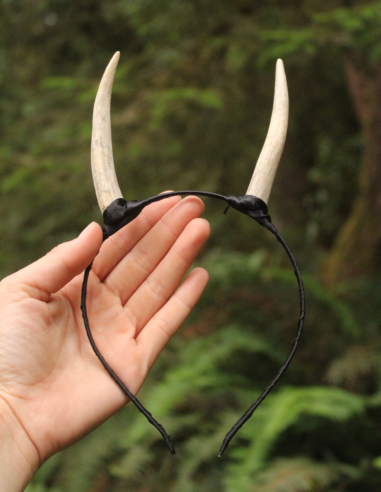 Long Horn Head Band