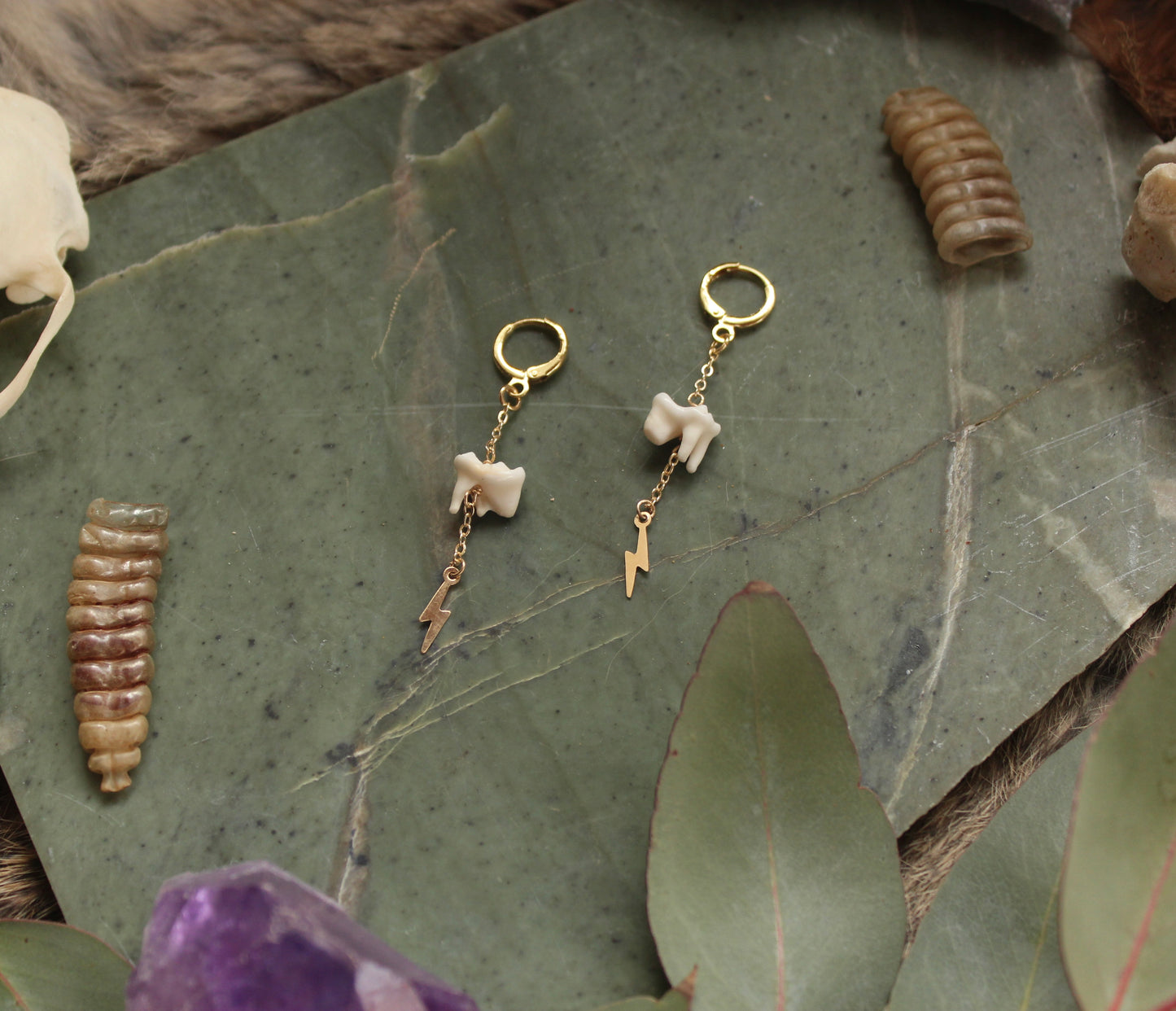 GF Raccoon Molar Earrings