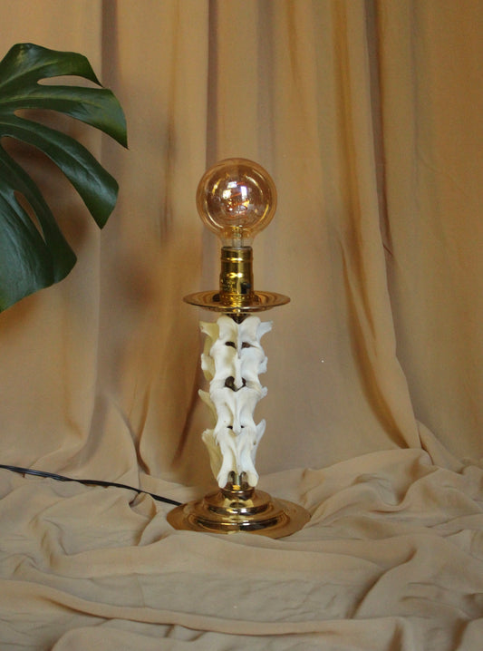 Deer Spine Lamp
