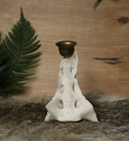 Deer Sacrum Candle Holder