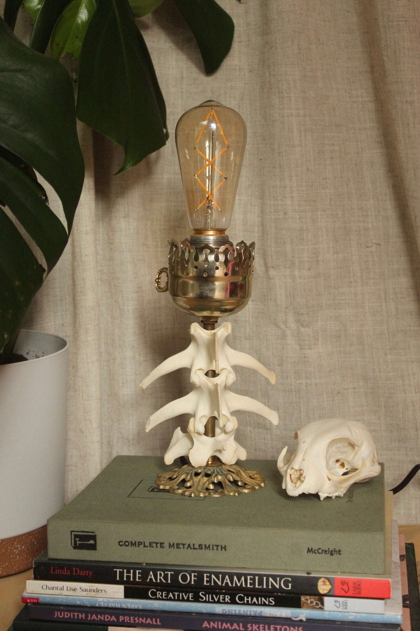 Ornate Deer Spine Lamp