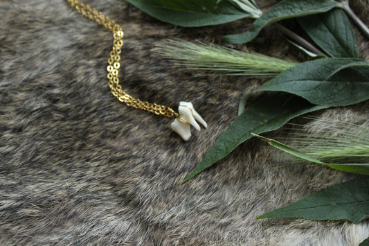 Minimalist Coyote Molar Necklace GP