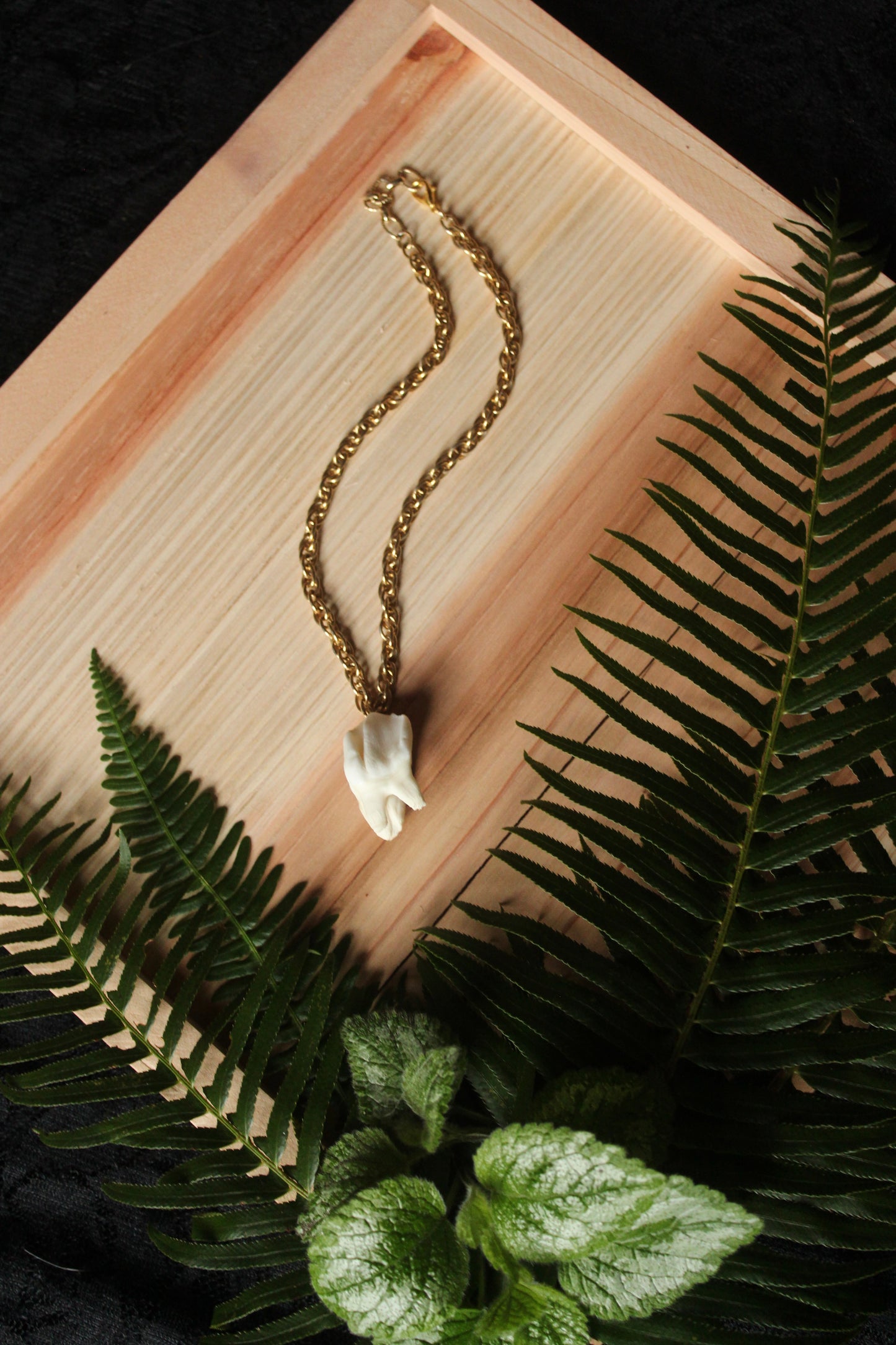 Chunky Elk Tooth Necklace