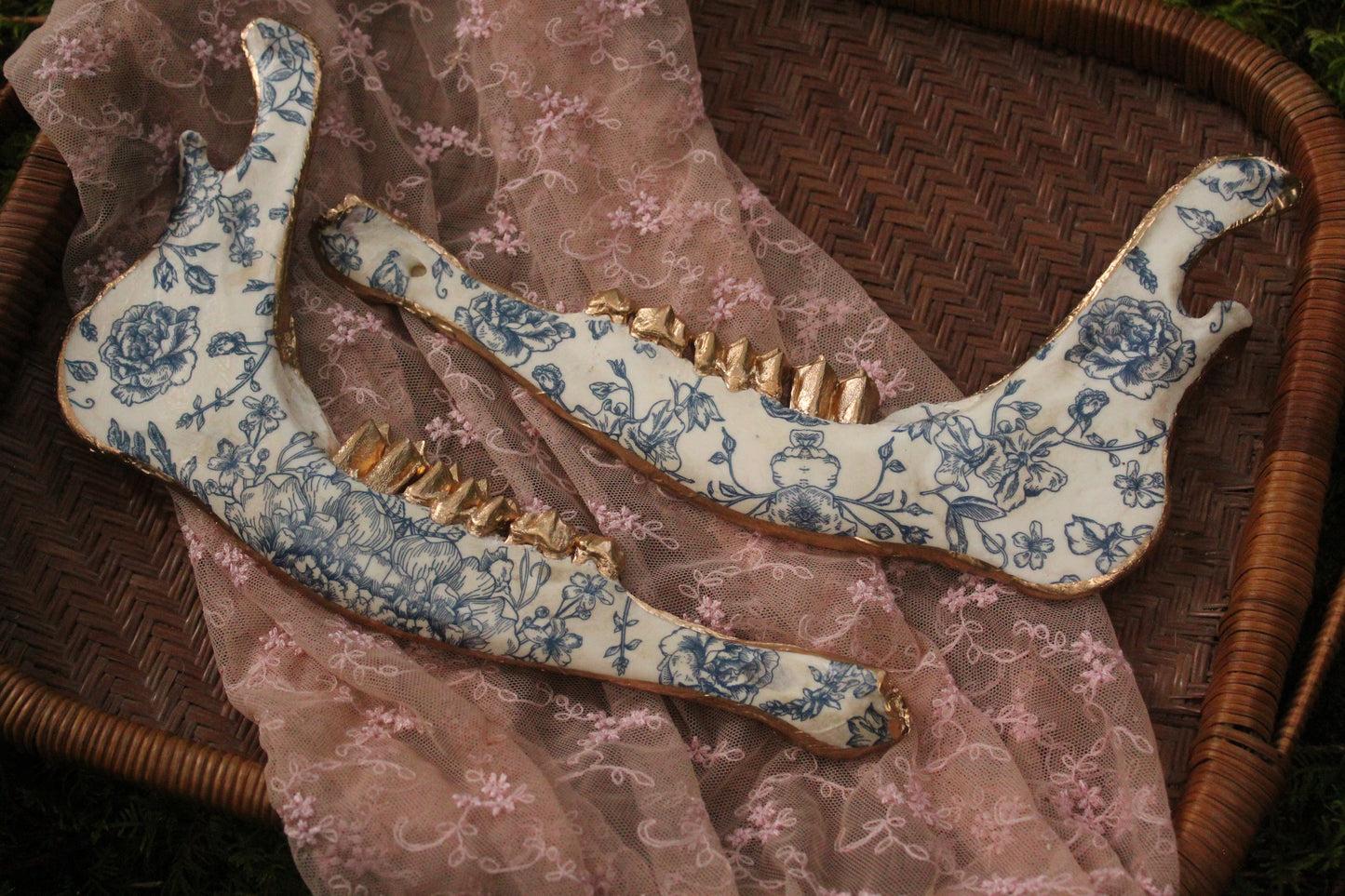 ‘Porcelain’ Elk Jaw Set
