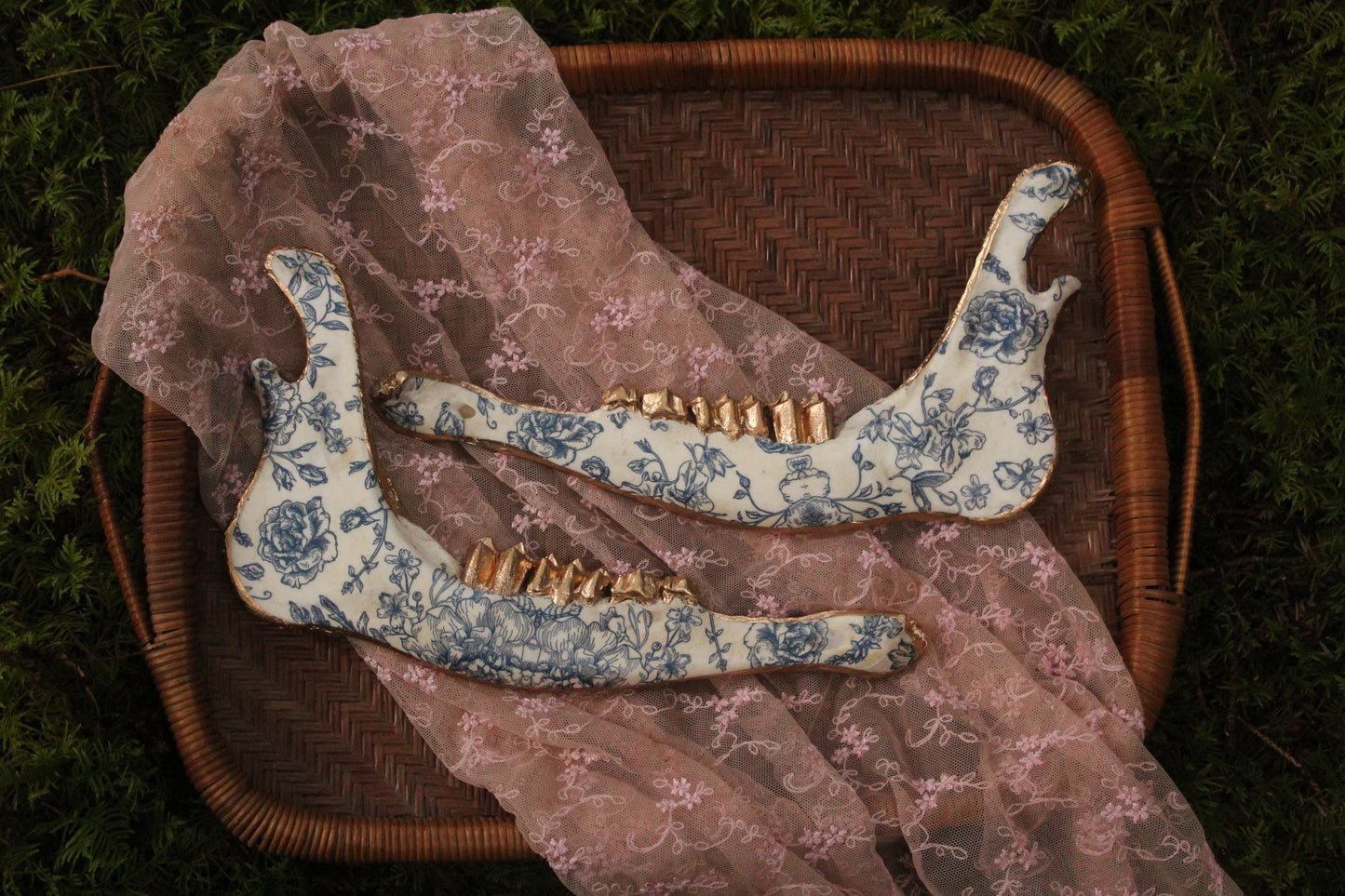 ‘Porcelain’ Elk Jaw Set