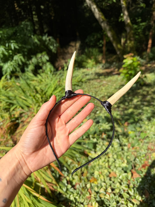 Elk Antler Horns