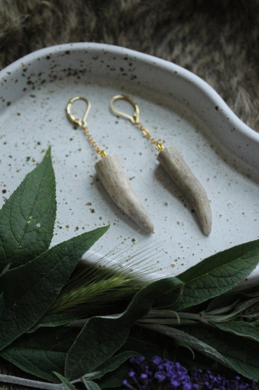Antler Spike Drop Earrings GP