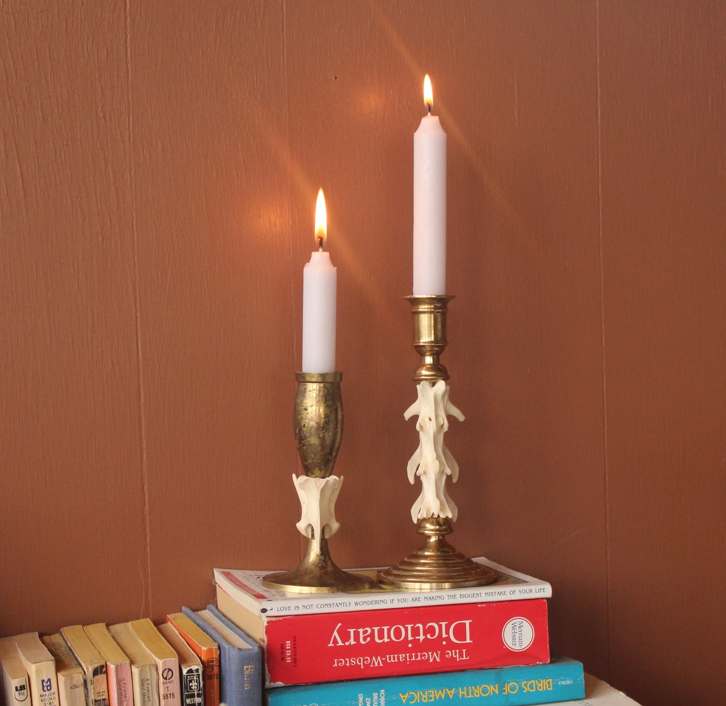 Brass Coyote Spine Candle Holder Set