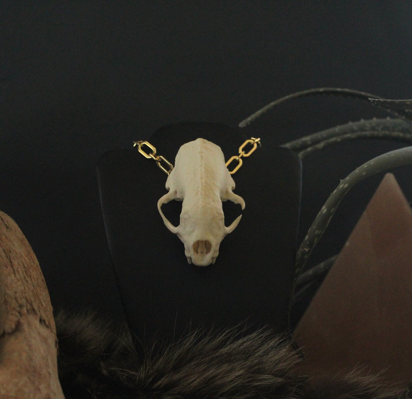 GF Skunk Skull Necklace / Cuff