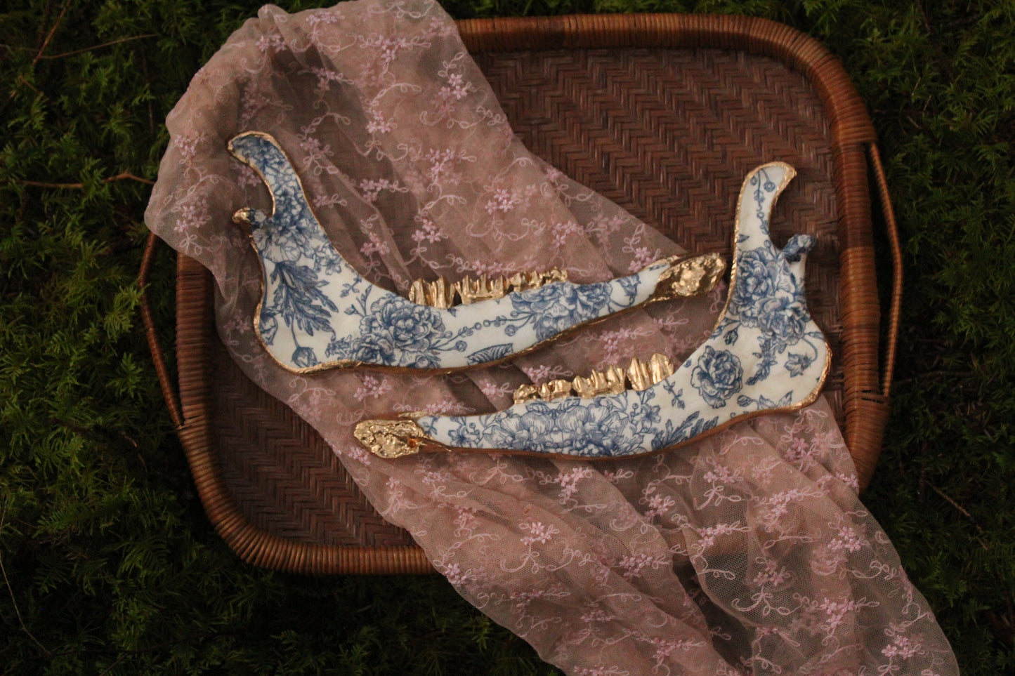 ‘Porcelain’ Elk Jaw Set