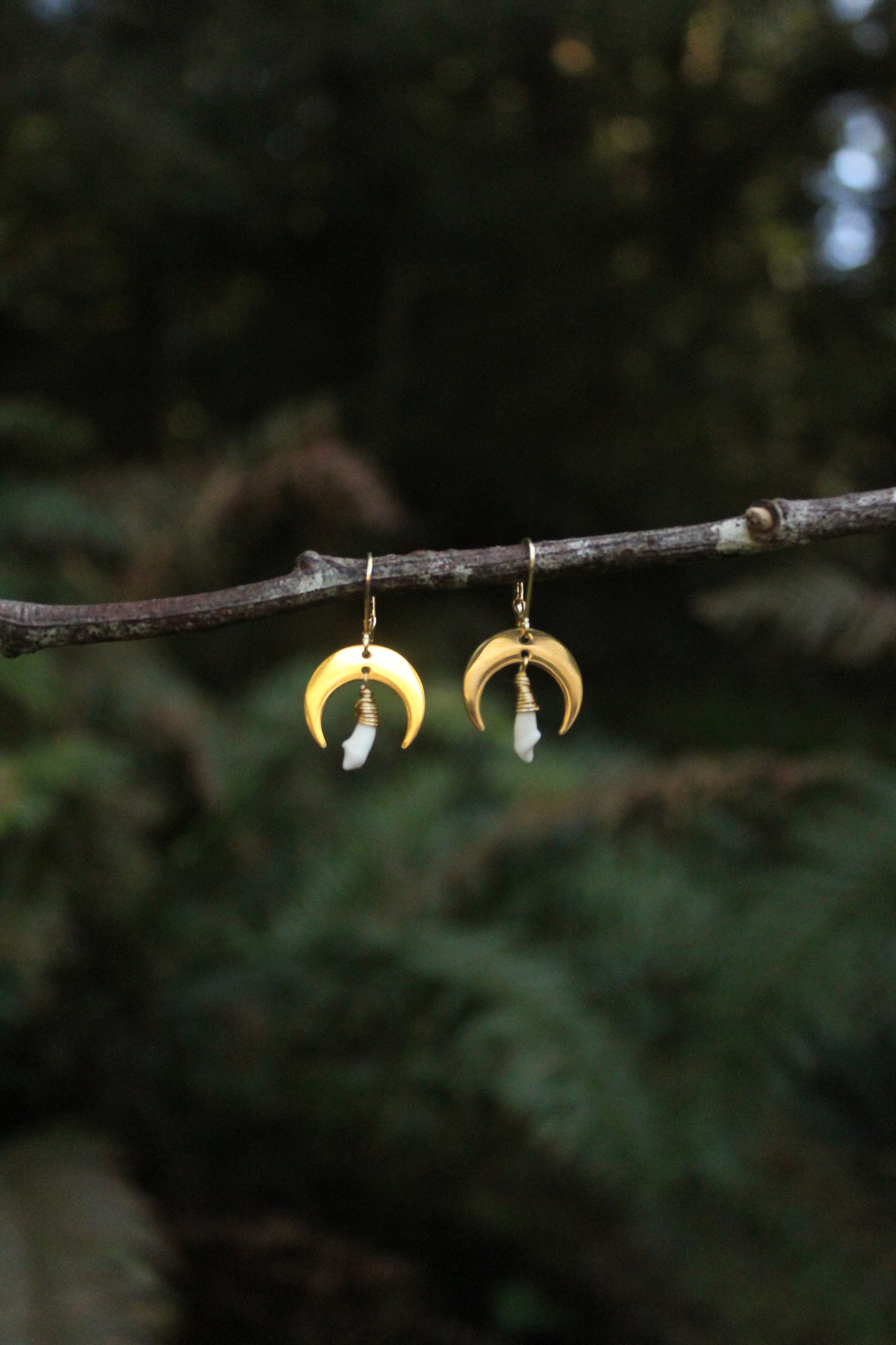 Mini Moon Raccoon Tooth Earrings