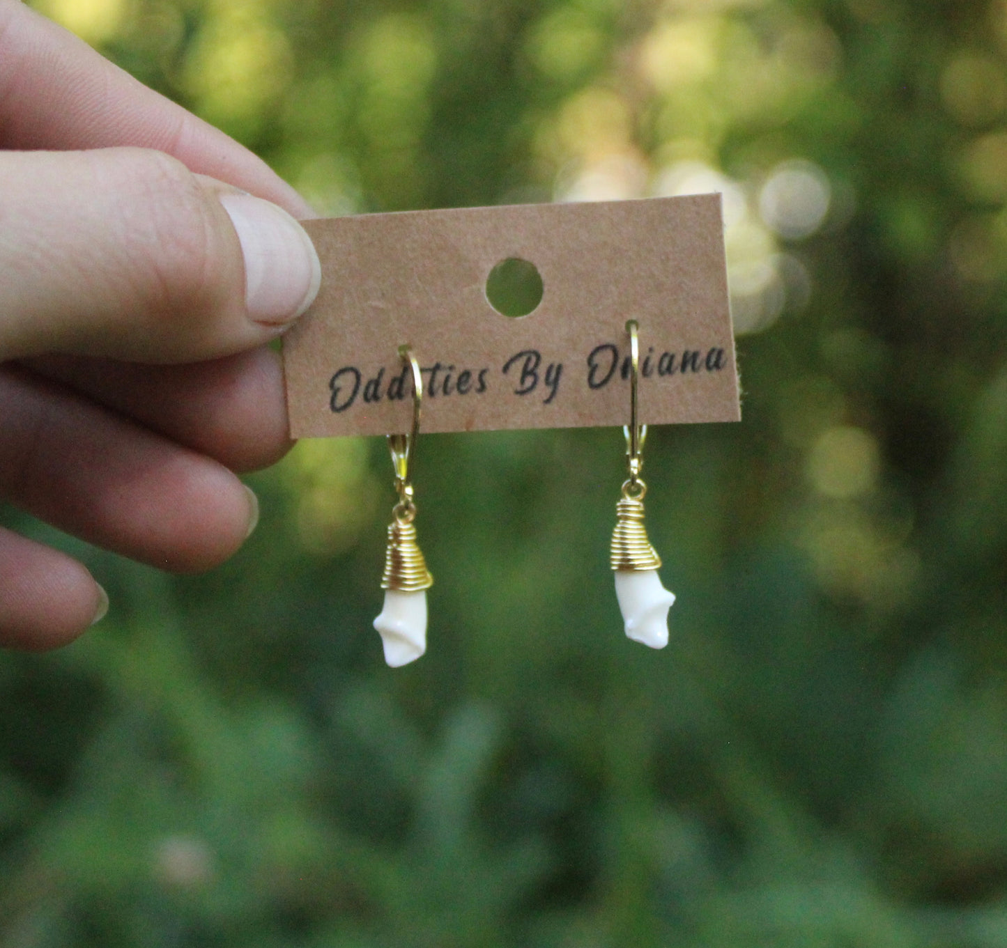 Minimalist Coyote incisor Earrings