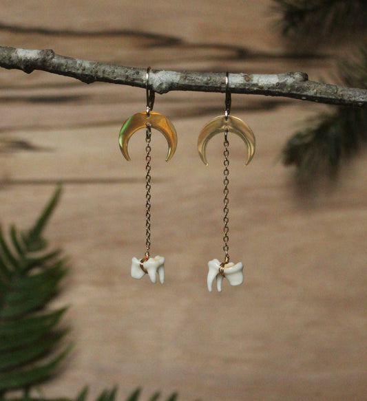 Coyote Molar Drop Earrings
