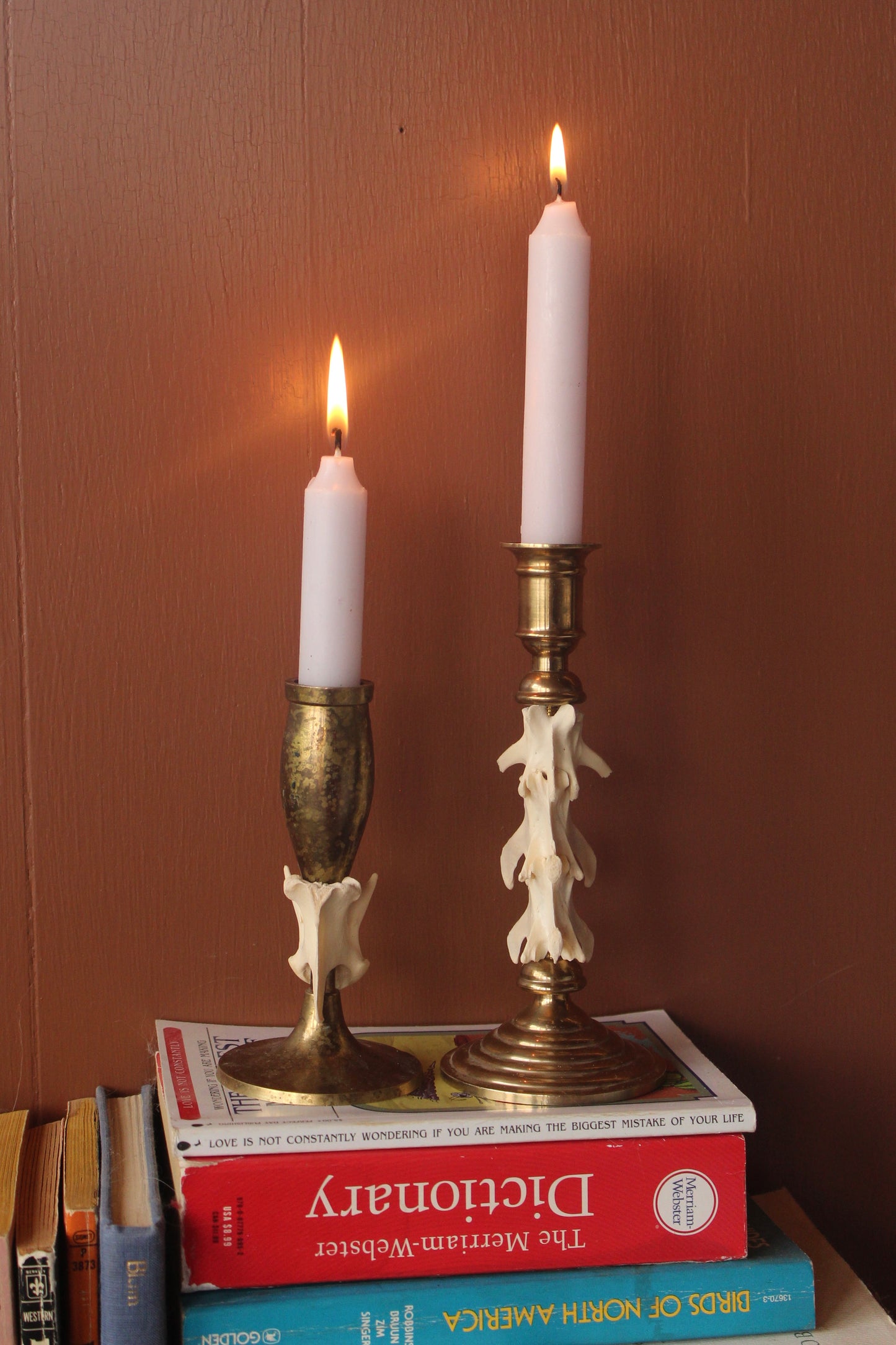 Brass Coyote Spine Candle Holder Set