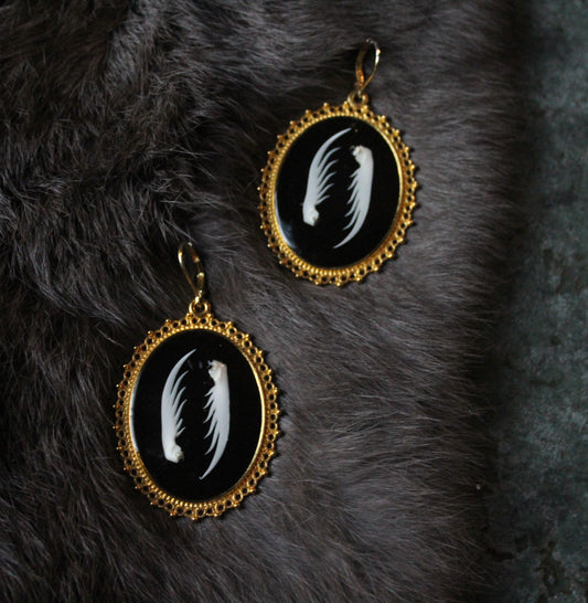 Mantis Shrimp Claw Earrings