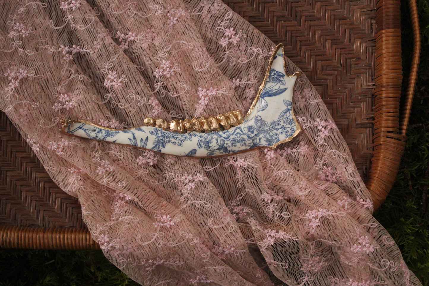 ‘Porcelain’ Deer Jaw Set