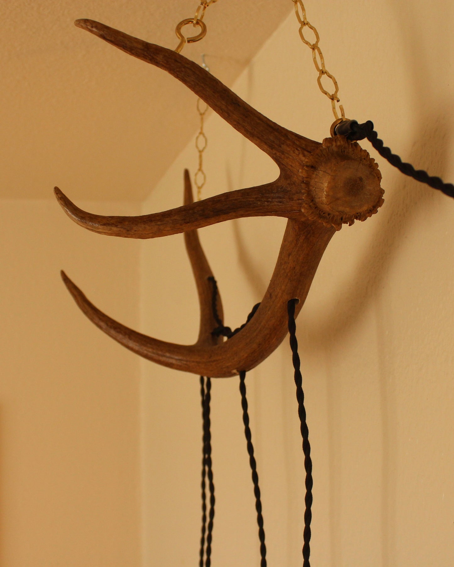 Elk Antler ‘Chandelier’