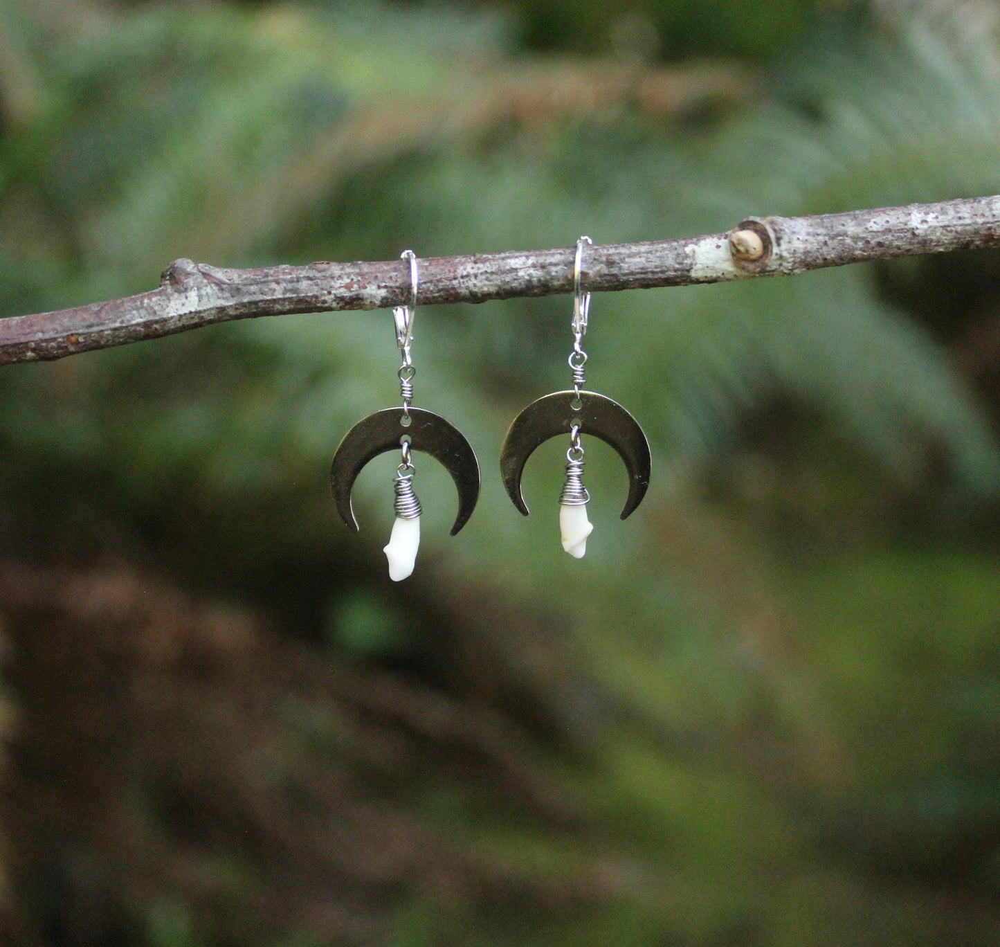 Silver Raccoon Moon Earrings