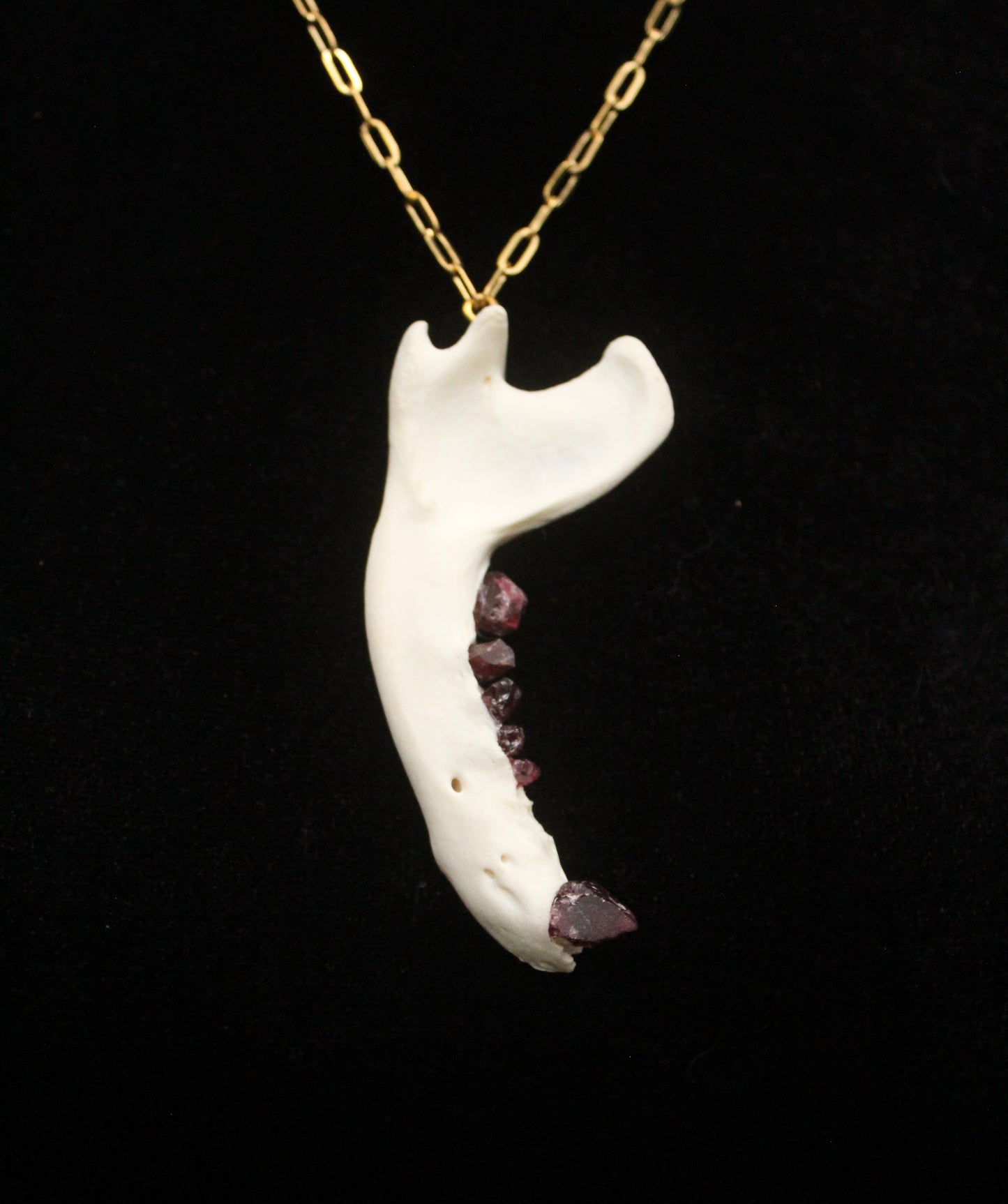 Garnet Tooth Raccoon Jaw Necklace