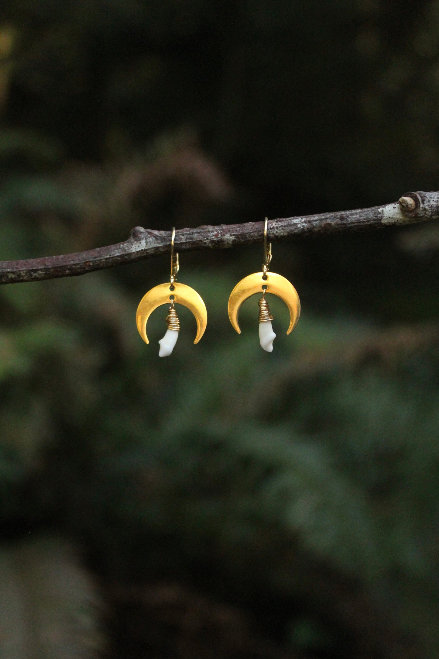 Mini Moon Raccoon Tooth Earrings
