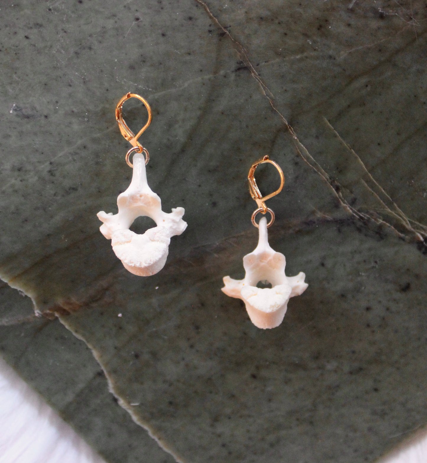 GF Coyote Vertebrae Earrings