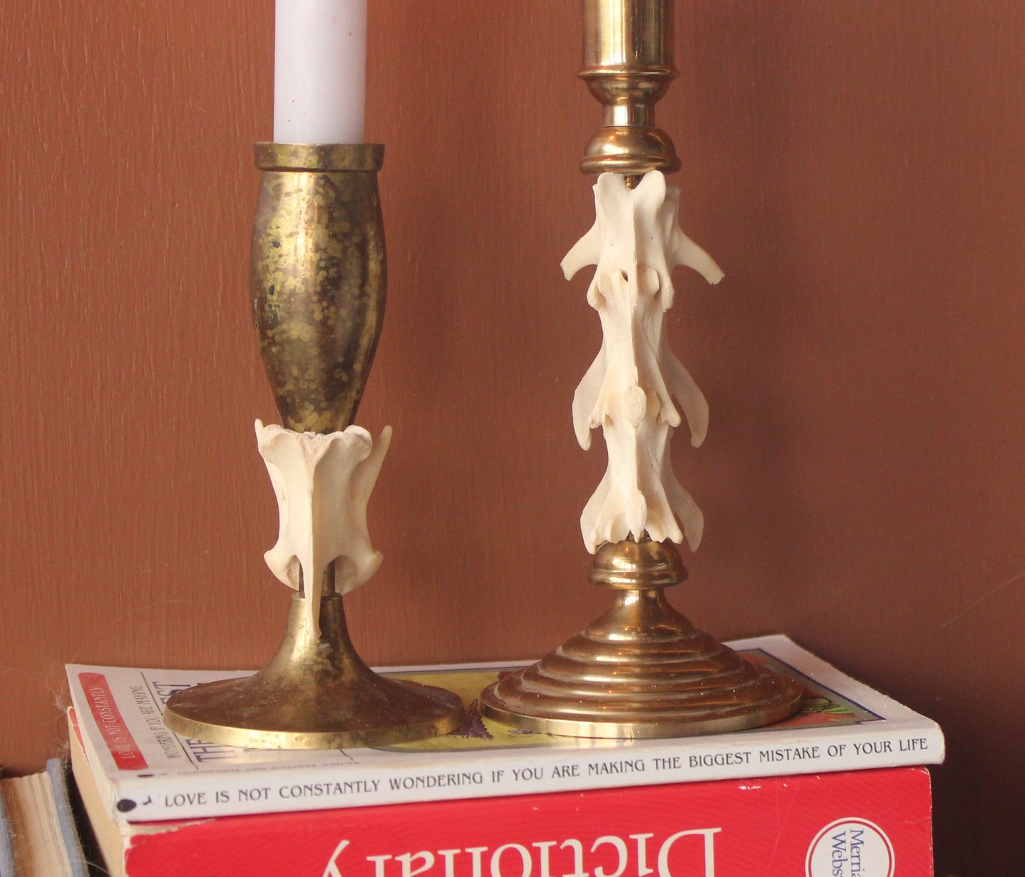 Brass Coyote Spine Candle Holder Set