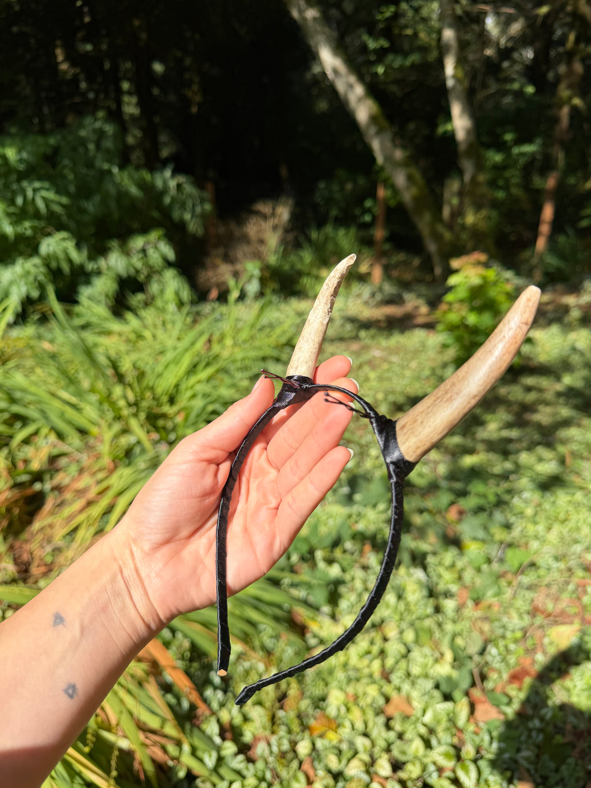 Elk Antler Horns