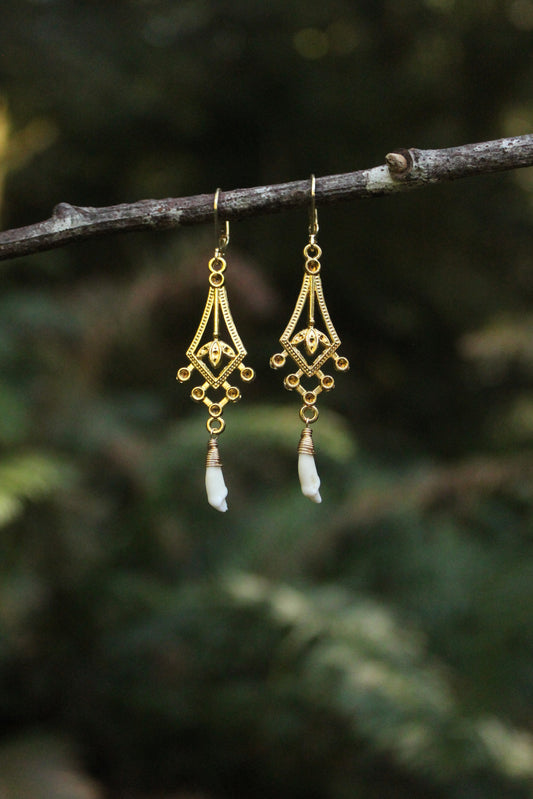 Ornate Coyote Incisor Earrings