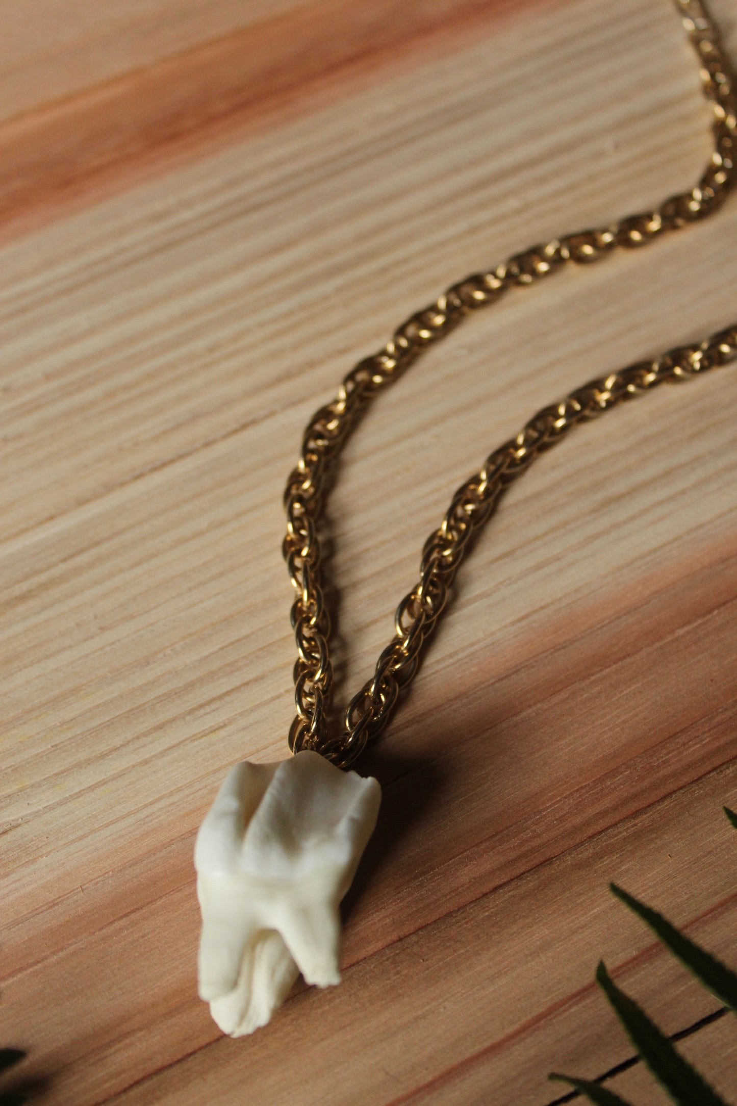Chunky Elk Tooth Necklace