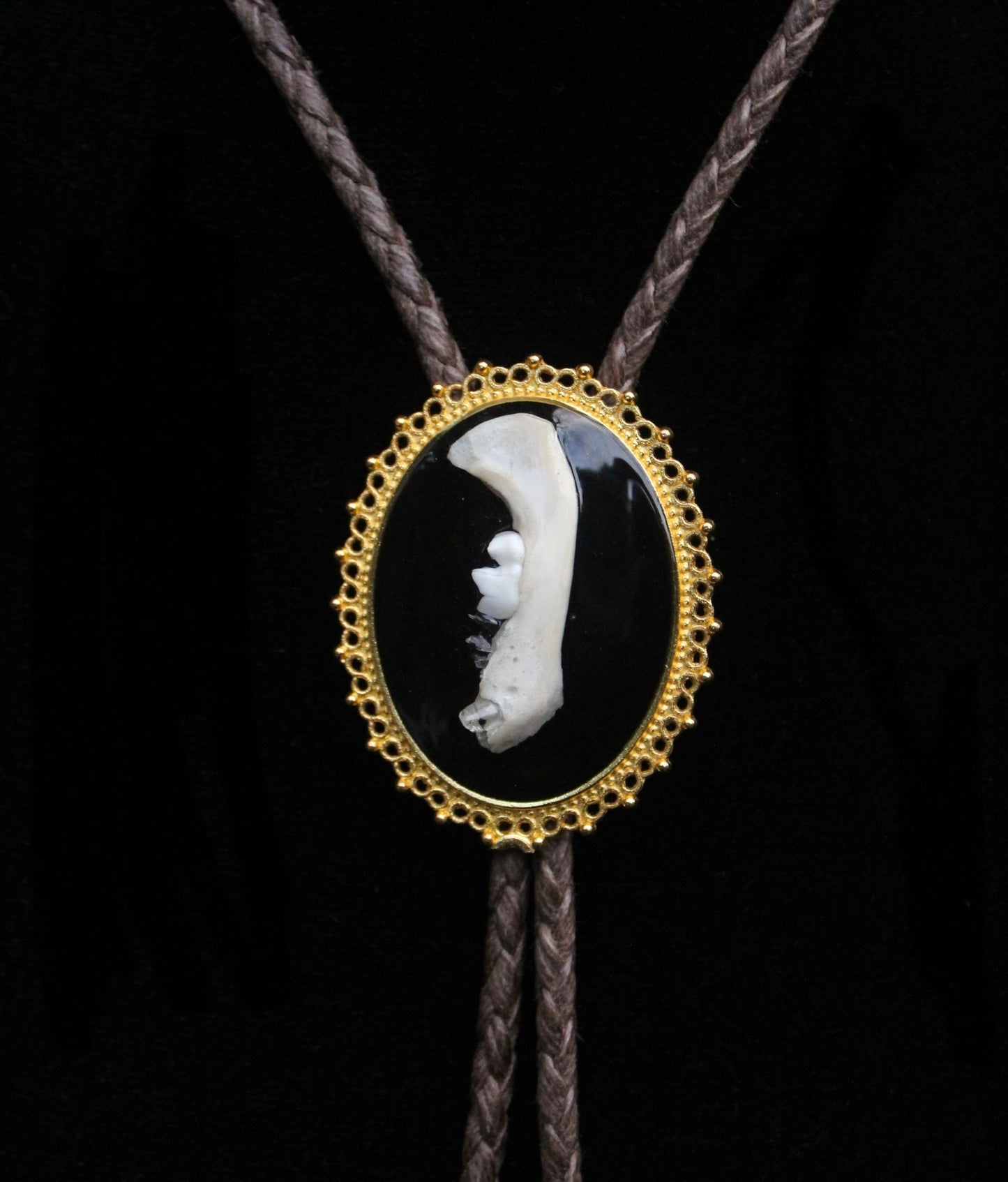 Skunk Jaw Bolo Tie