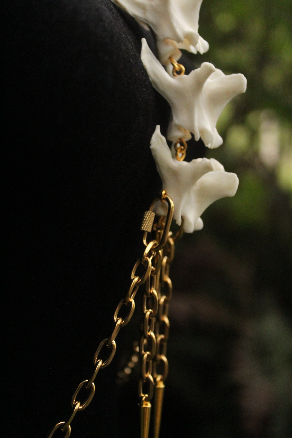 Bob Cat Spine Harness