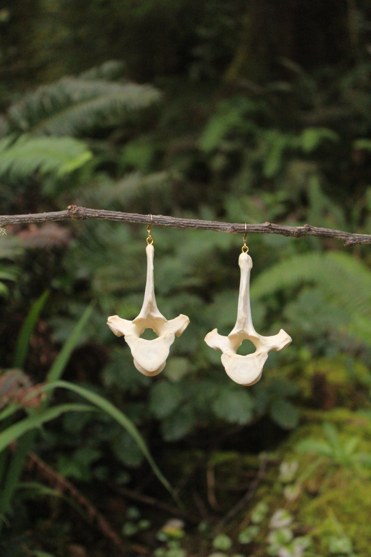 Coyote Vertebrae Earrings
