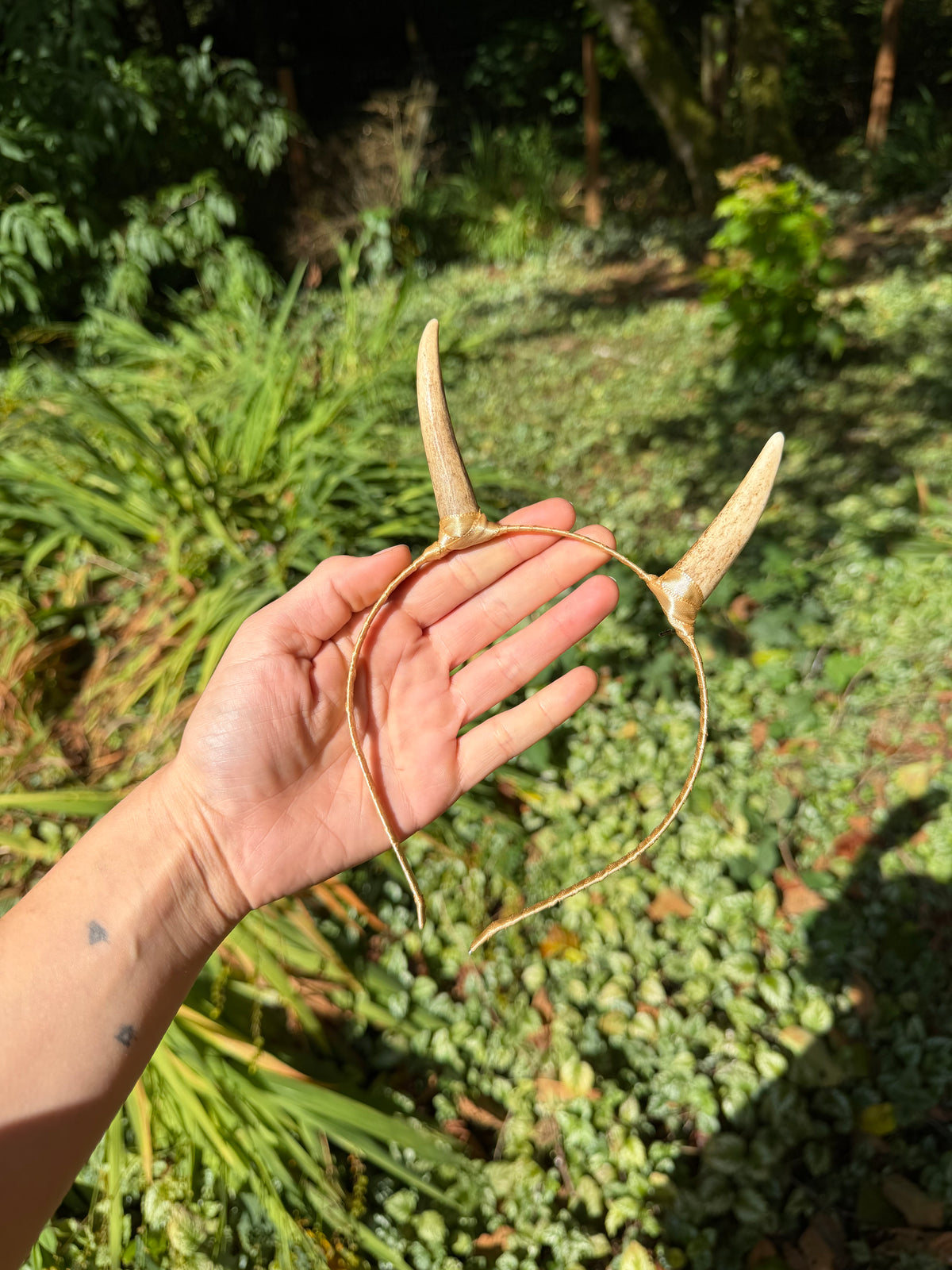Elk Antler Horns