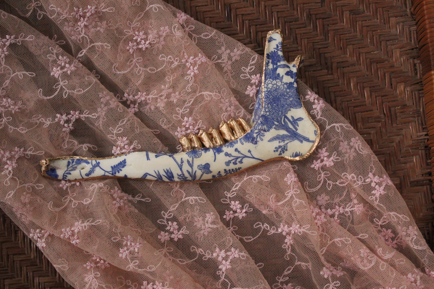 ‘Porcelain’ Deer Jaw Set