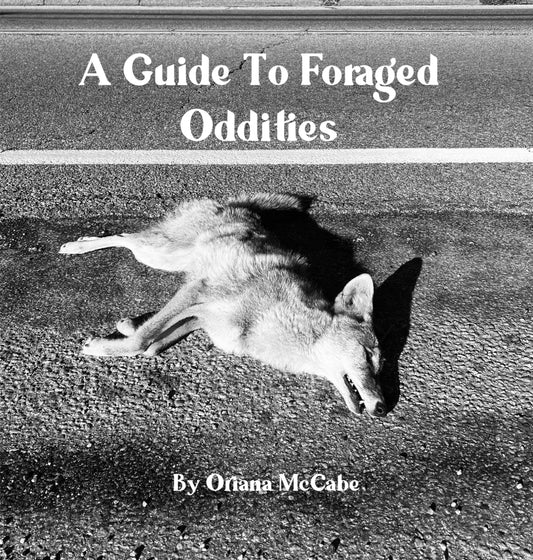 A Guide To Foraged Oddities