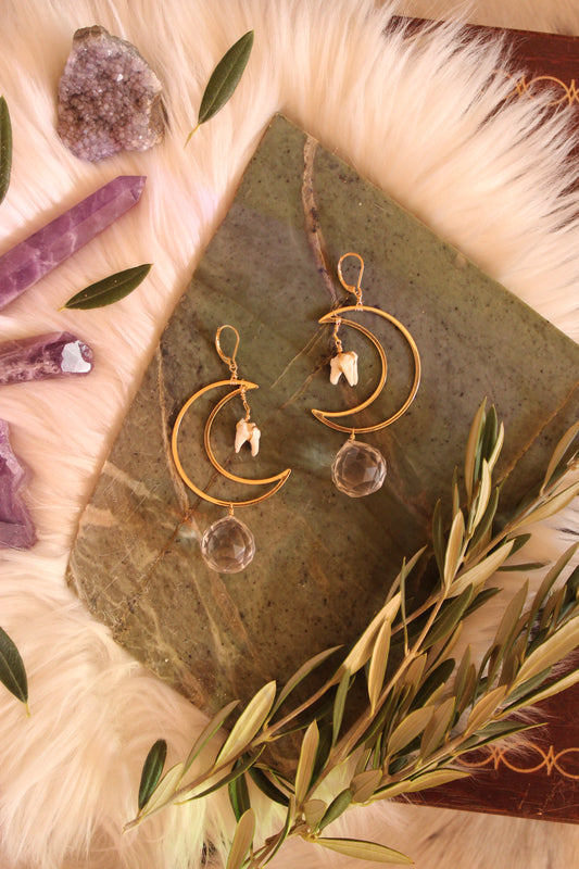 Raccoon Moon Suncatcher Earrings GP