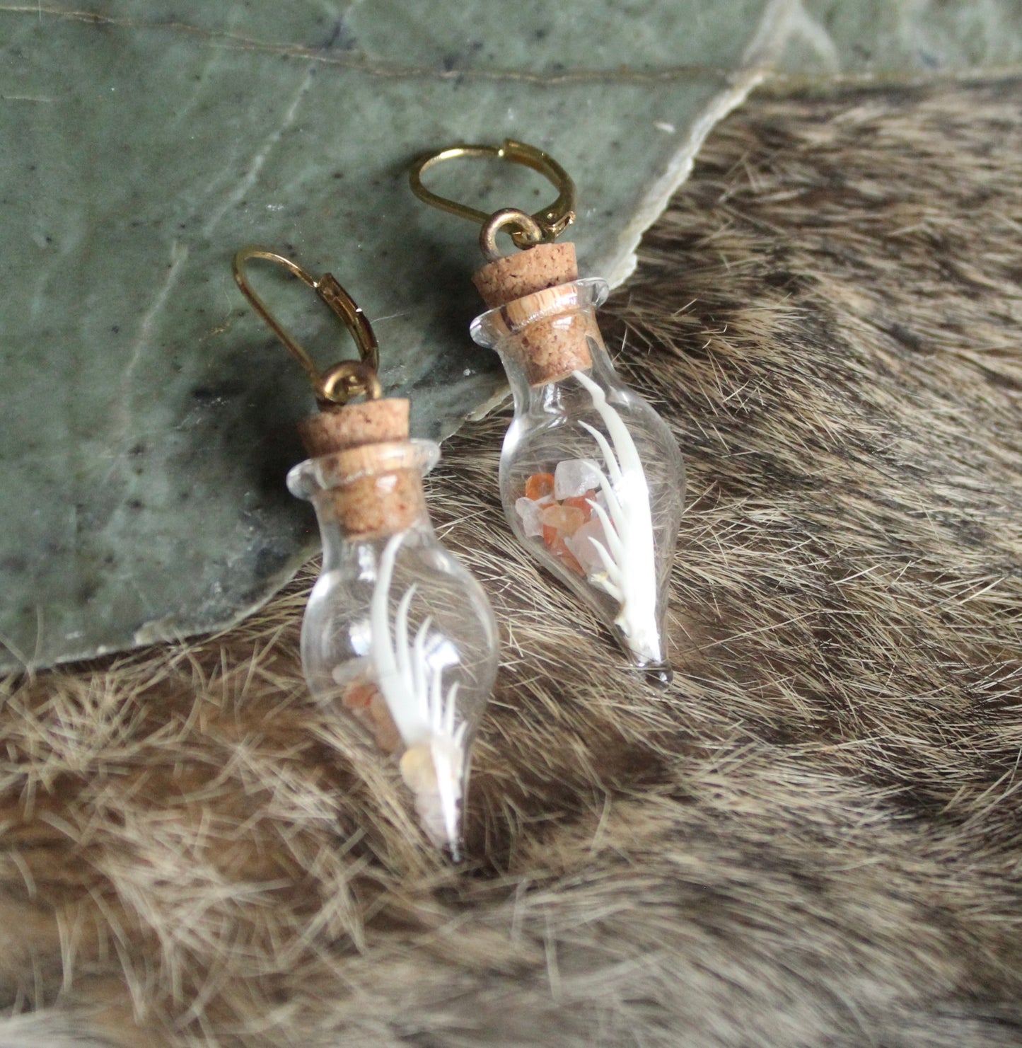 Mantis Shrimp “Terrarium” Earrings GP