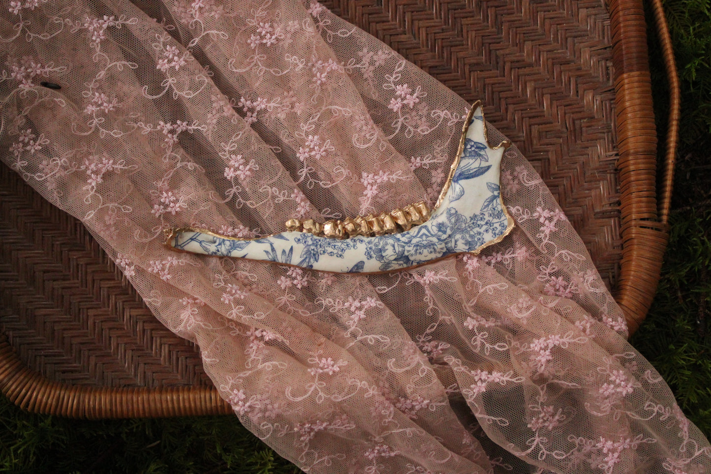 ‘Porcelain’ Deer Jaw Set