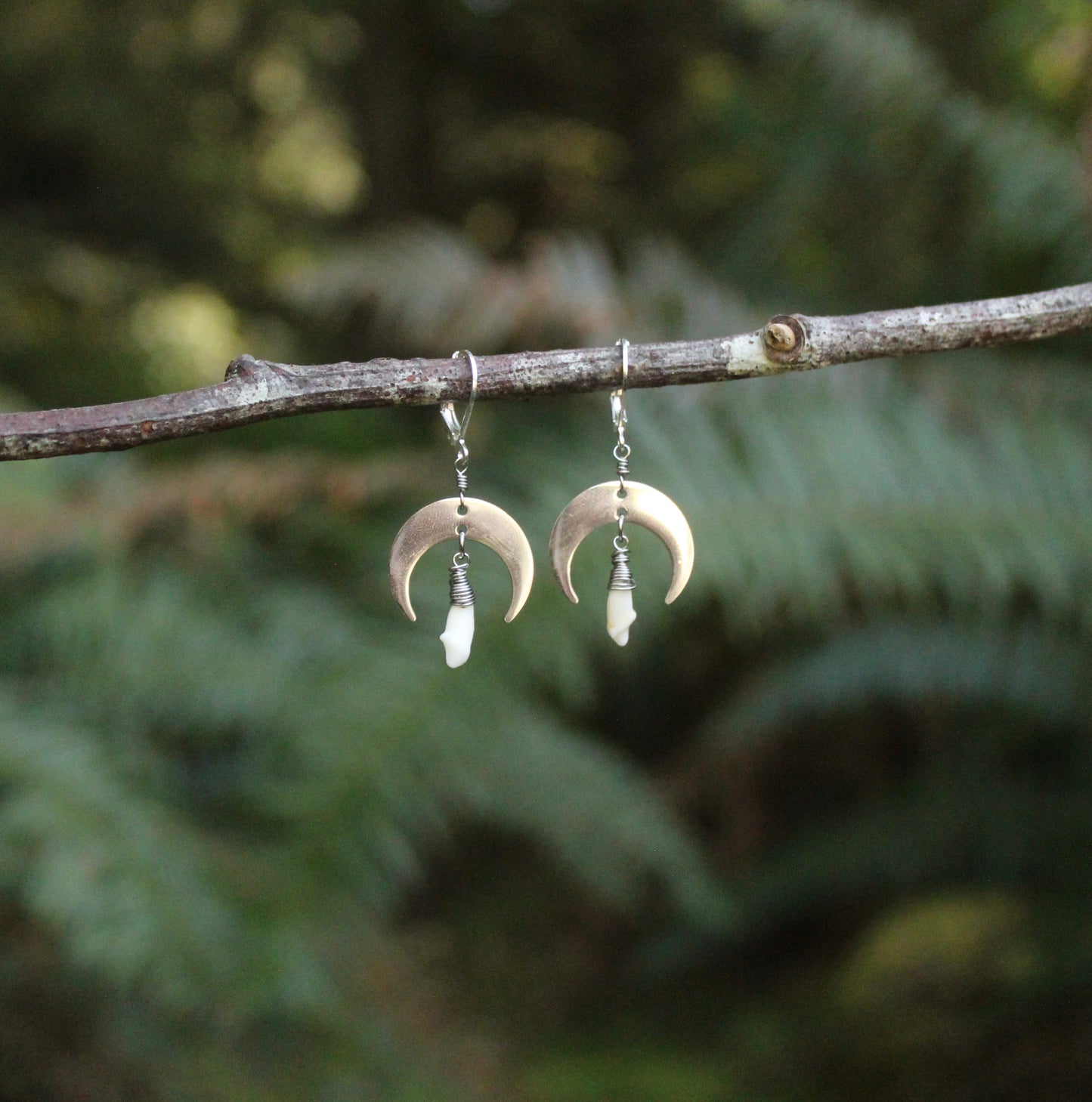 Silver Raccoon Moon Earrings